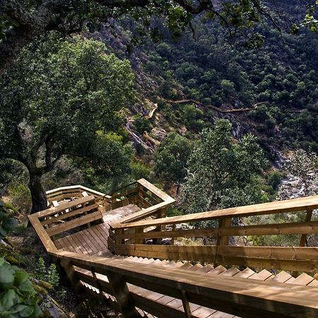 Casa Do Gaio-Turismo De Natureza Арока Екстериор снимка