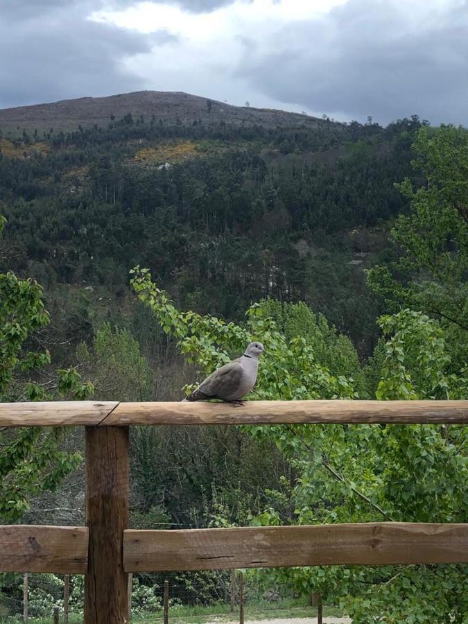 Casa Do Gaio-Turismo De Natureza Арока Екстериор снимка